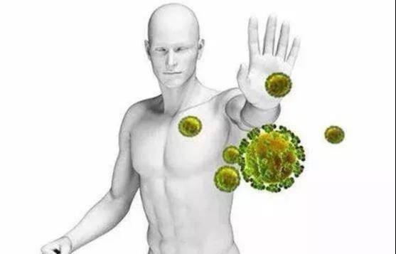 金櫻子泡酒的功效_泡金櫻子酒可以加什么藥材_金櫻子泡酒的工效