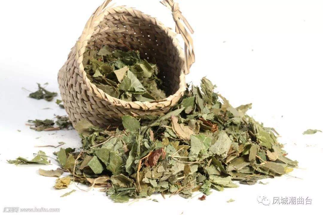 杜仲泡酒加什么藥方最好_泡酒配方杜仲最佳是什么顏色_杜仲泡酒的最佳配方是