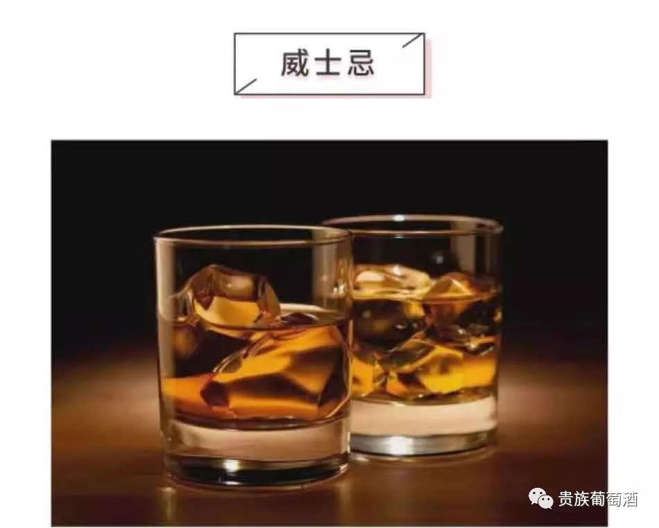 威士忌與白蘭地的喝法_白蘭地酒與威士忌酒的區(qū)別_威士忌酒與白蘭地酒的區(qū)別