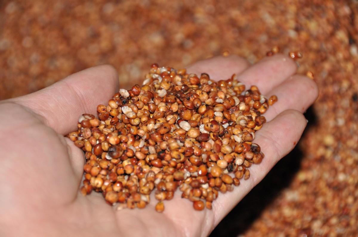 白酒10781.2是純糧酒嗎_白酒純糧食酒標準_純糧食酒10781.1