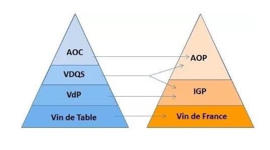 紅酒和葡萄酒的區(qū)別_區(qū)別葡萄酒紅酒和白酒_區(qū)別葡萄酒紅酒還是白酒